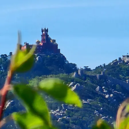 Guest house Palazzo Gh Sintra